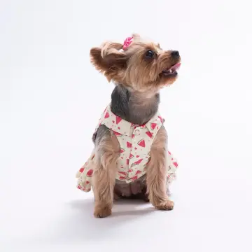 PawStar 26310 Berry Crush Elbise