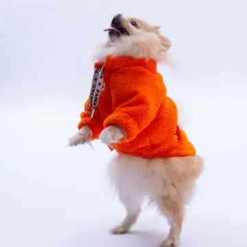 PawStar 25720 Turuncu Doha Go! Sweat