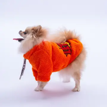 PawStar 25720 Turuncu Doha Go! Sweat