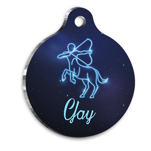 Yay Burcu Kedi köpek Künyesi Large 2,9 x 5 cm