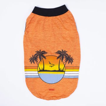 PawStar Turuncu Sunrise Büyük Irk T-Shirt