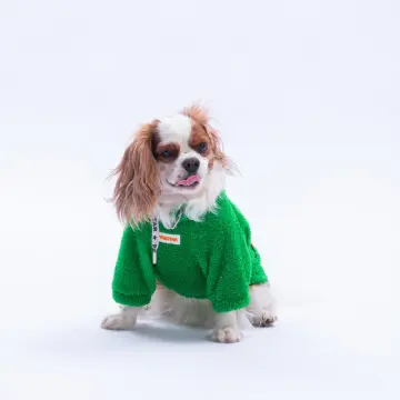 PawStar 25721 Yeşil Oslo Chill Sweat