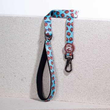 PawStar L27 Bears Sevk Kayışı