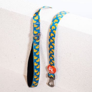 PawStar L28 Ducks Sevk Kayışı