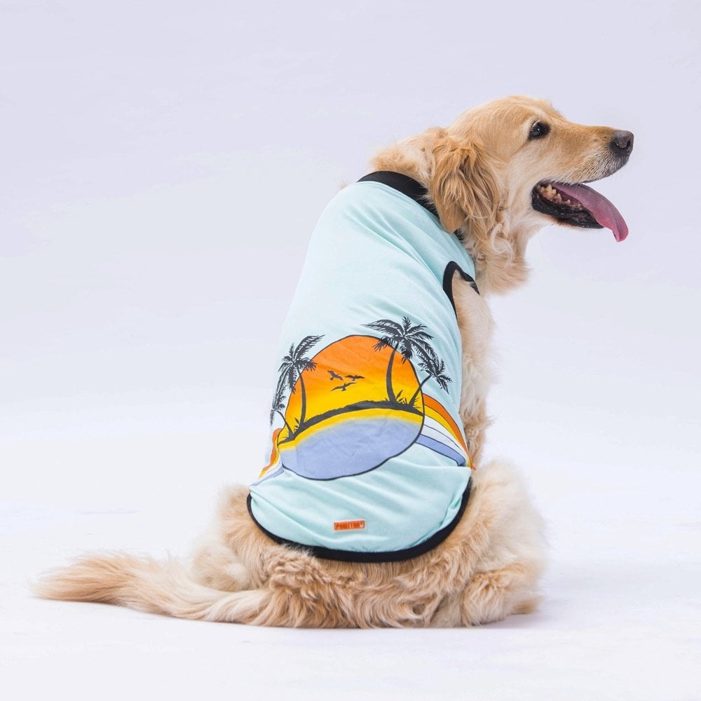 PawStar Mint Sunrise Büyük Irk T-Shirt