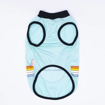 PawStar Mint Sunrise Büyük Irk T-Shirt