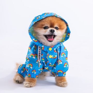 PawStar 23513 İrides Tulum Yağmurluk Küçük ve Orta Irk