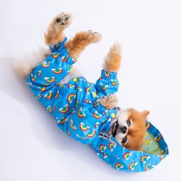 PawStar 23513 İrides Tulum Yağmurluk Küçük ve Orta Irk