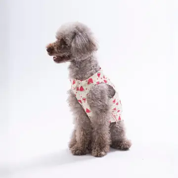 PawStar 26407 Berry Crush Desenli Gömlek