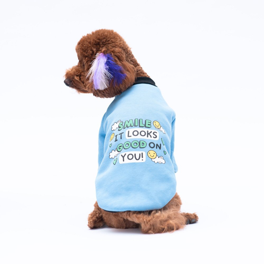 PawStar Mavi Loviisa Sweat Küçük ve Orta Irk