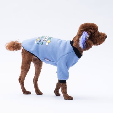 PawStar Mavi Loviisa Sweat Küçük ve Orta Irk