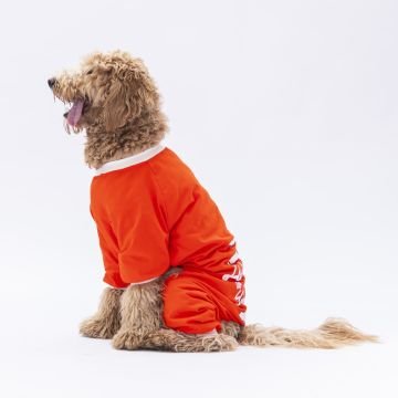 PawStar Turuncu Giraffle Büyük Irk Pijama Tulum