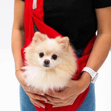 PawStar Kırmızı CrossBody Çanta