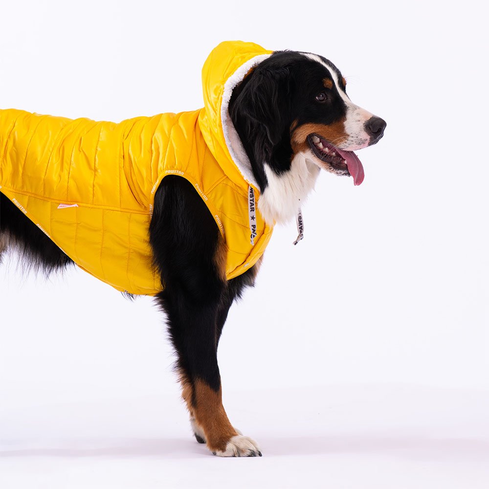 PawStar Sarı Railway Büyük Irk Yelek