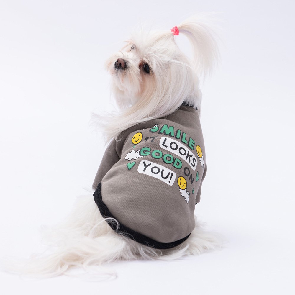 PawStar Füme Loviisa Sweat Küçük ve Orta Irk