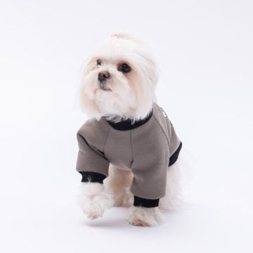 PawStar Füme Loviisa Sweat Küçük ve Orta Irk