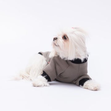PawStar Füme Loviisa Sweat Küçük ve Orta Irk