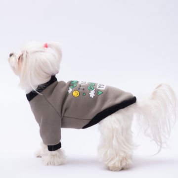 PawStar Füme Loviisa Sweat Küçük ve Orta Irk