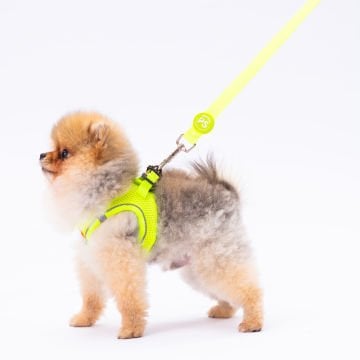 PawStar L01 Neon Sarı Sevk Kayışı