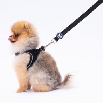 PawStar L04 Siyah Sevk Kayışı