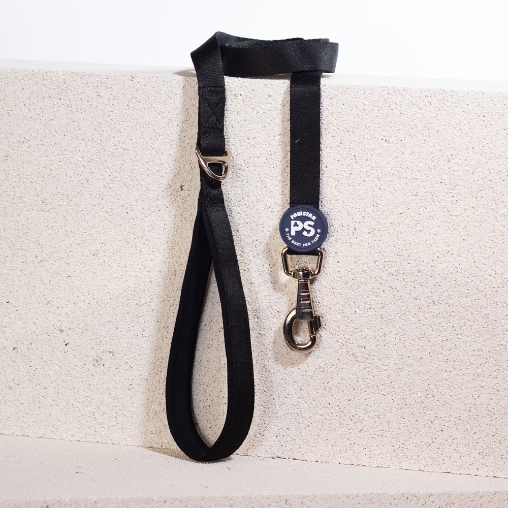 PawStar L04 Siyah Sevk Kayışı