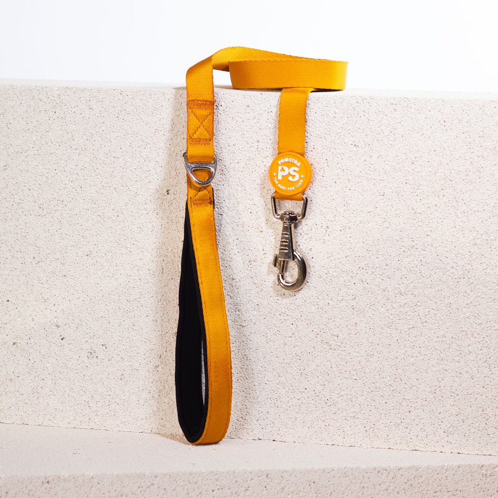 PawStar L07 Gold Sevk Kayışı