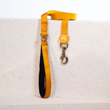 PawStar L07 Gold Sevk Kayışı