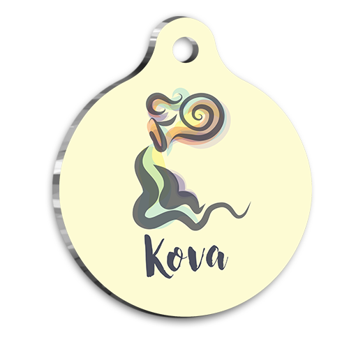 Kova Burcu Kedi köpek Künyesi Small 2 x 3,5 cm