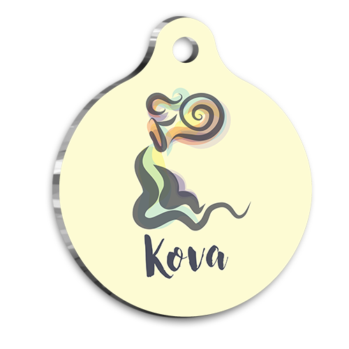 Kova Burcu Kedi köpek Künyesi Large 2,9 x 5 cm