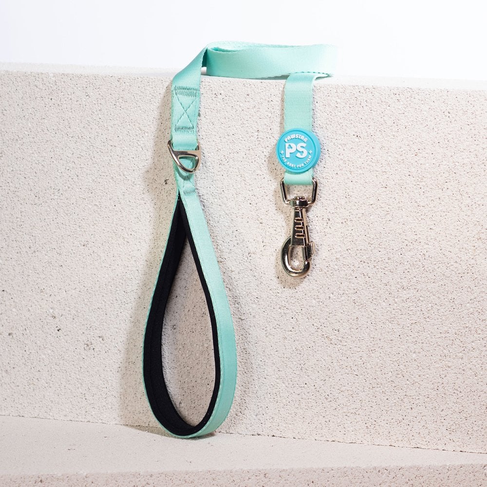 PawStar L09 Mint Sevk Kayışı