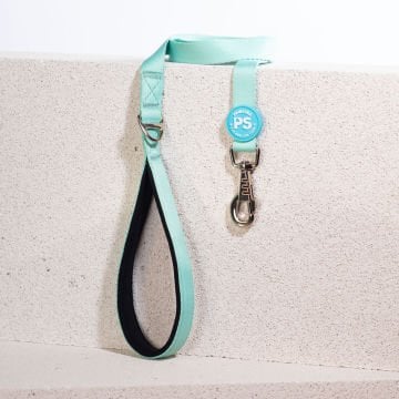 PawStar L09 Mint Sevk Kayışı