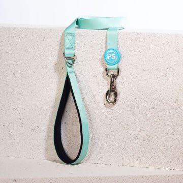 PawStar L09 Mint Sevk Kayışı