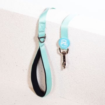 PawStar L09 Mint Sevk Kayışı