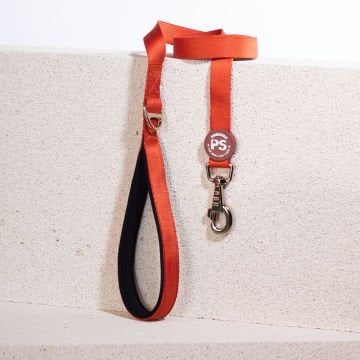 PawStar L11 Kiremit Sevk Kayışı