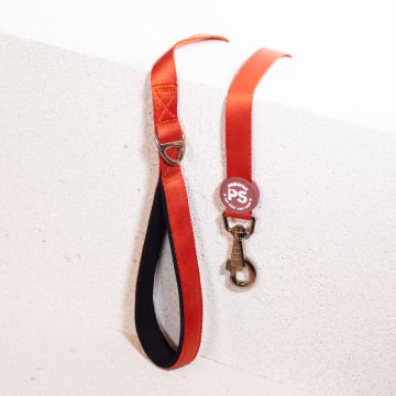 PawStar L11 Kiremit Sevk Kayışı