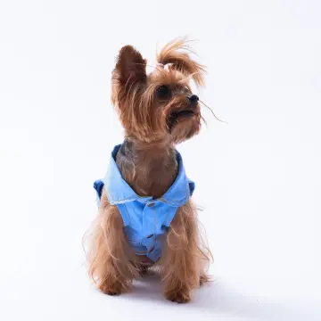 PawStar 25408 Açık Mavi Denim Look Gömlek
