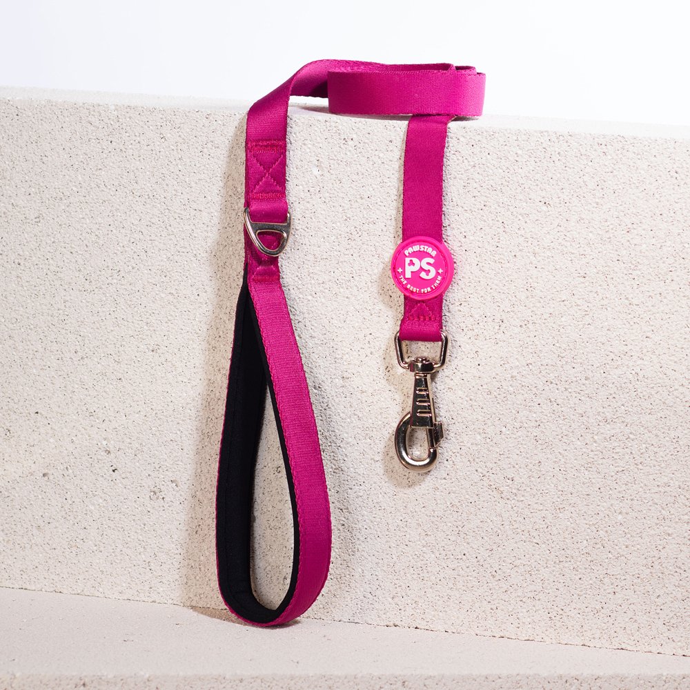 PawStar L12 Fuşya Sevk Kayışı