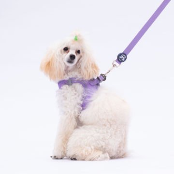 PawStar L10 Lila Sevk Kayışı