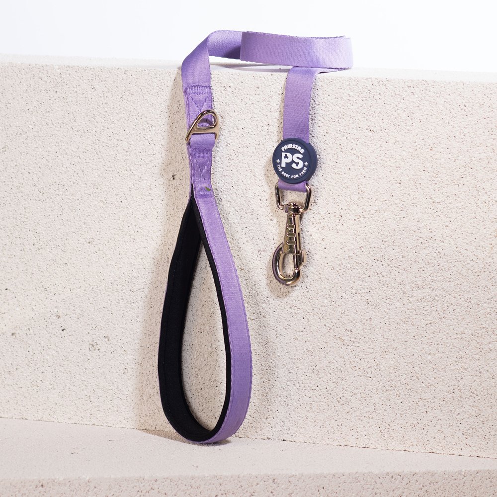 PawStar L10 Lila Sevk Kayışı