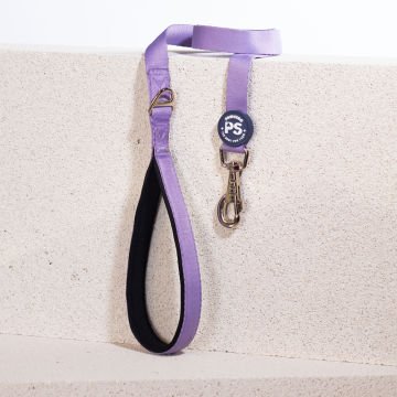 PawStar L10 Lila Sevk Kayışı