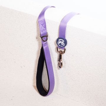 PawStar L10 Lila Sevk Kayışı