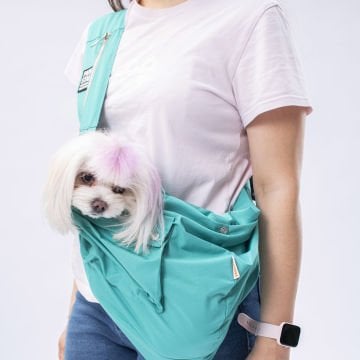 PawStar Mint CrossBody Çanta