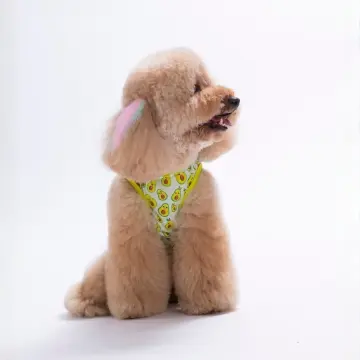 PawStar 26832 Avocado Tişört