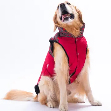 PawStar 25150 Kırmızı Elgin Paws Büyük Irk Yelek