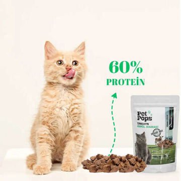 Pet Pops Freeze Dry Dana Ciğeri Kedi Ödülü 40 Gr