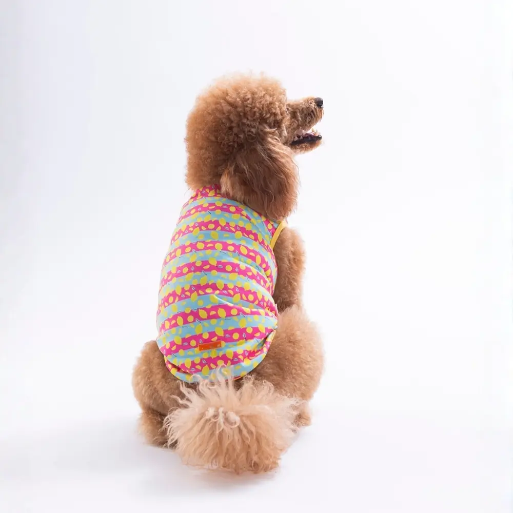PawStar 26830 Lemon Party Tişört