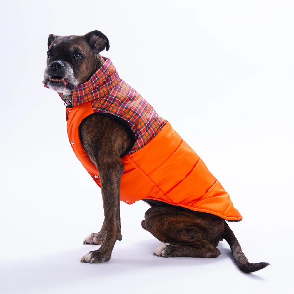 PawStar 25151 Turuncu Elgin Paws Büyük Irk Yelek