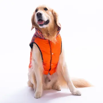 PawStar 25151 Turuncu Elgin Paws Büyük Irk Yelek