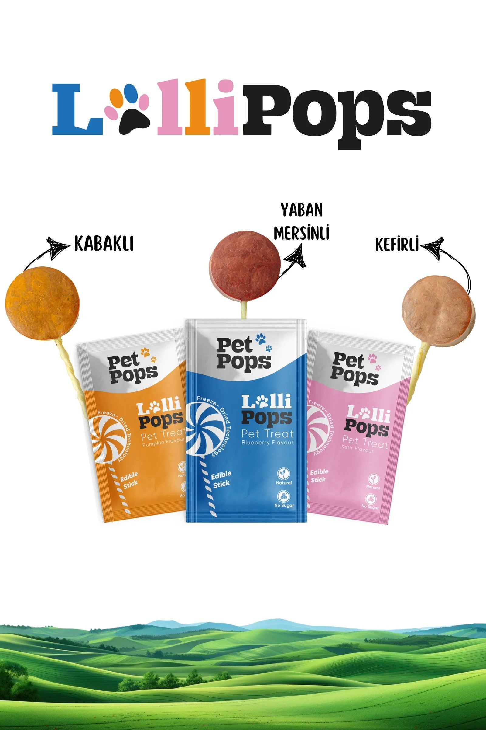 Pet Pops Freeze Dry Lolipop Yaban Mersinli, Kefirli ve Kabaklı Kedi Ödülü