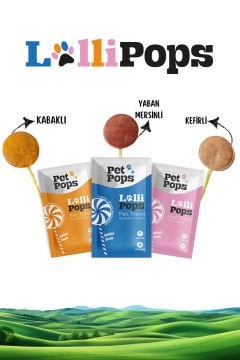 Pet Pops Freeze Dry Lolipop Yaban Mersinli, Kefirli ve Kabaklı Kedi Ödülü